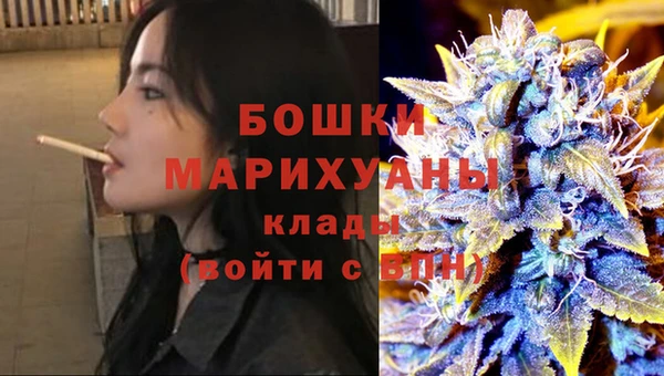 молекула духа Протвино