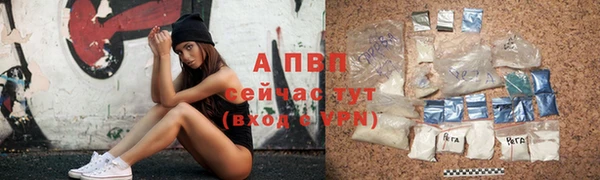 спиды Пролетарск