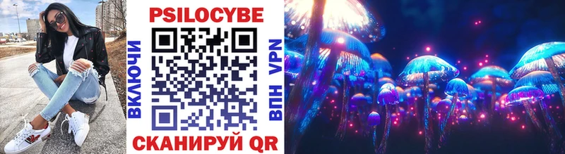 Псилоцибиновые грибы Psilocybe  Купить где  Шлиссельбург 